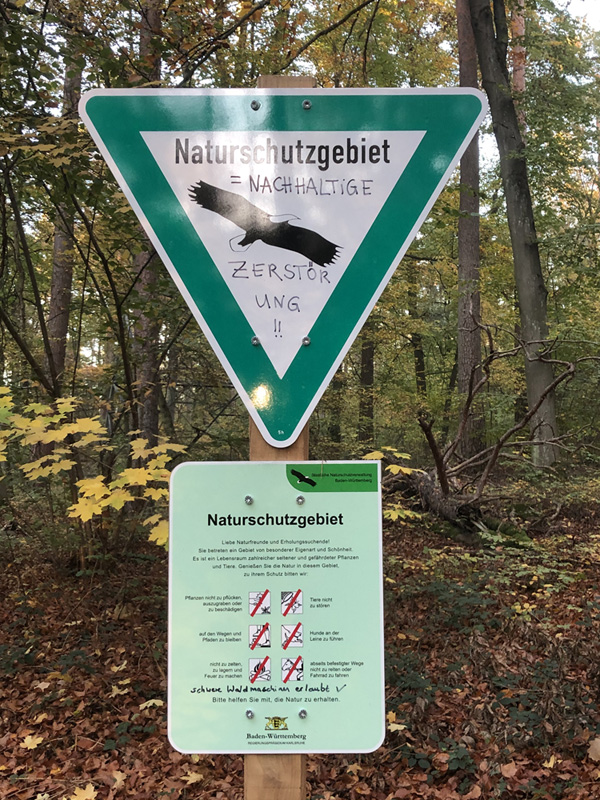 Schild
                    Brühlwegdüne